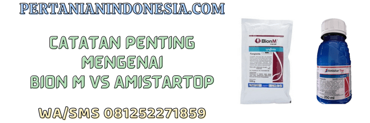 pestisida,jual,murah,fungisida bion m,fungisida amistartop,pertanian indonesia